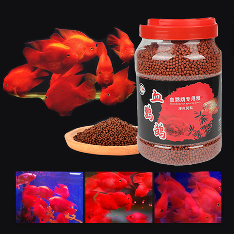 Poisson perroquet rouge flottant sur l'eau, 500g, sang géant, or, sang, tête de fleur, poisson tropical, alimentation ► Photo 1/6