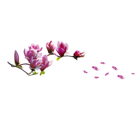 Autocollant mural romantique à fleurs Magnolia, étiquette décorative de fond, décoration artistique pour la maison, autocollant amovible ► Photo 1/5