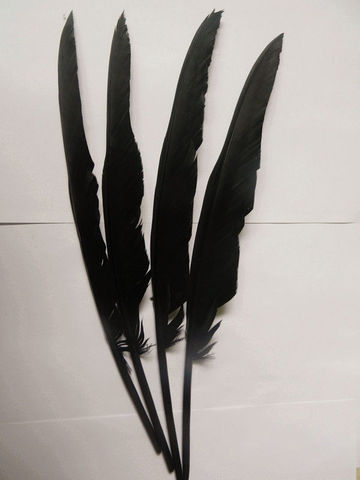 Belles plumes de corbeau, 30-35 cm, 50 pièces, vente en gros ► Photo 1/1