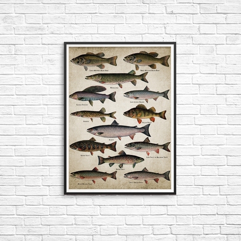 Affiches murales en toile d'art de pêche à la ligne, imprimés de races de poissons, peinture de poissons d'eau douce, image murale pour décoration de salle de maison ► Photo 1/6