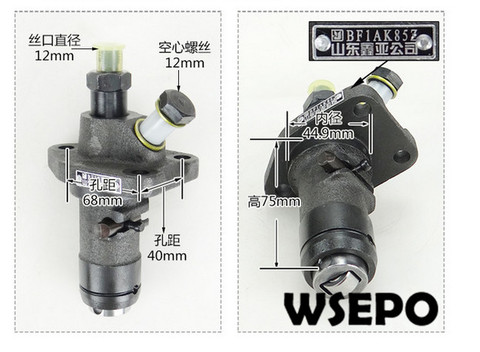 Qualité OEM et approvisionnement Direct d'usine! Pompe d'injection de carburant pour S195/ZS1100, 4 temps, petit moteur Diesel refroidi à l'eau ► Photo 1/2