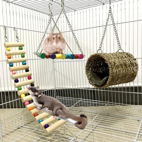 Hamac pour animaux de compagnie | Tunnel de balançoire, échelle de lit, Cage suspendue Hamster écureuil, jouet Cage balançoire pour Rat écureuil, Cages pour nid, 3 pièces ► Photo 1/6