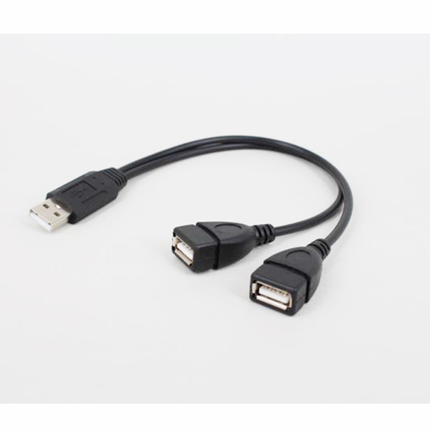 Câble d'extension usb vers usb 2 en 1 mâle vers femelle, charge de synchronisation de données Super rapide ► Photo 1/6