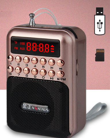 Radio de poche Radio FM Mini Portable récepteur de Radio Rechargeable haut-parleur Support USB TF carte musique lecteur MP3 ► Photo 1/6