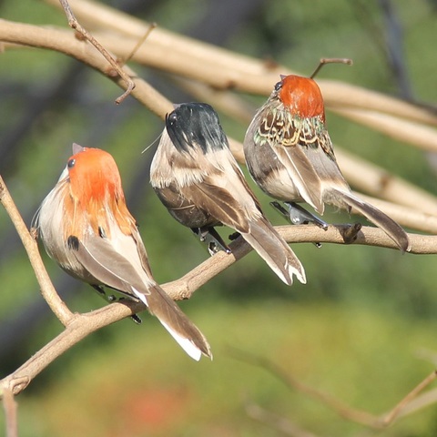 Oiseaux artificiels en plume et mousse | Décoration d'émulation de jardin, arbre de noël, Robin, décoration de jardin en plein air, de maison, au hasard ► Photo 1/6