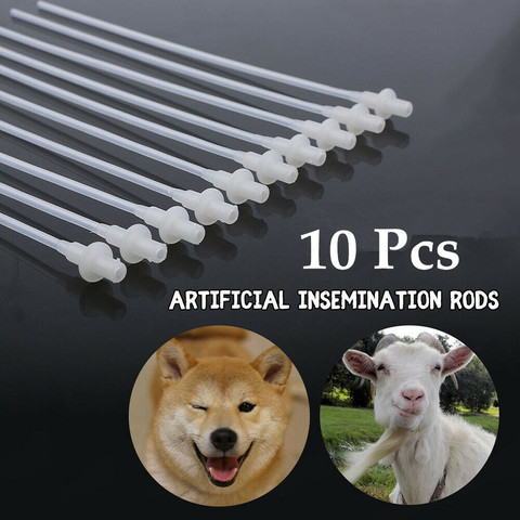 10 pièces/ensemble tiges d'insémination artificielle élevage cathéter Tube chien mouton chèvre ► Photo 1/5