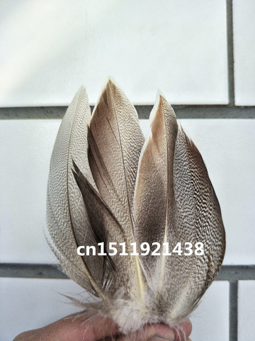 Plumes de faisan naturelles de haute qualité, 20 pièces, 5-10cm/2-4 pouces, bijoux à bricoler soi-même accessoires décoratifs, vente en gros ► Photo 1/1