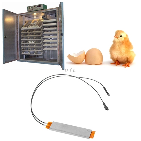 Plaque d'élément chauffant d'incubateur 220V pour chauffage des œufs, accessoire d'incubateur ► Photo 1/6
