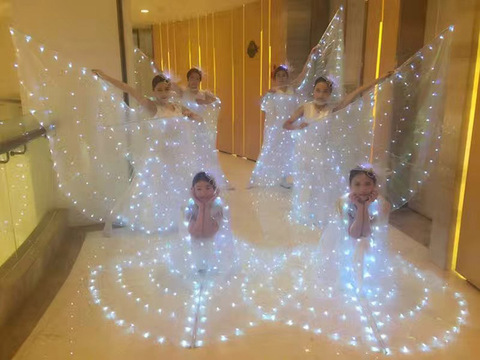 Robe de ballet avec ailes pour femmes, jupe de ballet pour enfants, cape de danse de ballet pour adultes, lumière LED, costume de danse lumineux ► Photo 1/1