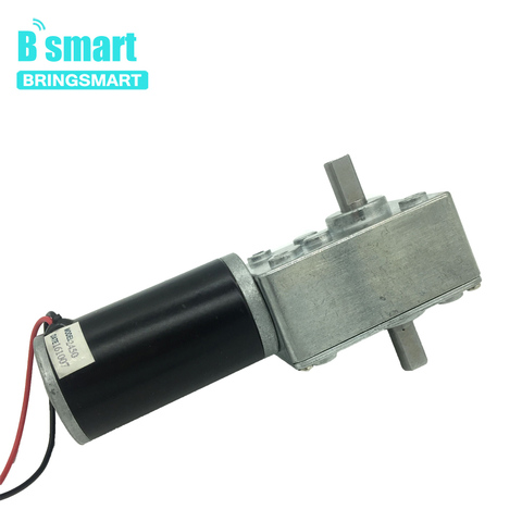 Bringsmart – réducteur de vis sans fin réversible, 12V, Double arbre, 70kg, cm, 24 V ► Photo 1/6