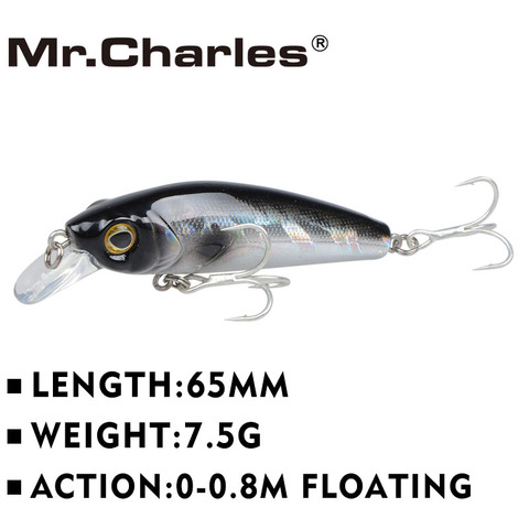 Mr.Charles – Leurre méné flottant CMC022, appât Dur et coulant pour la pêche en grande mer, bionique, 65mm, 7.5g, 0 à 0.8m ► Photo 1/6