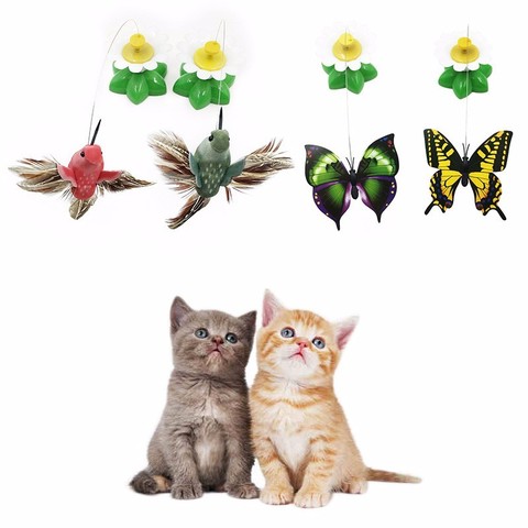 Électrique rotatif 360 Pet chat jouets pour chats jouet coloré papillon oiseau siège gratter drôle Pet jouets pour chat chaton intelligence ► Photo 1/6