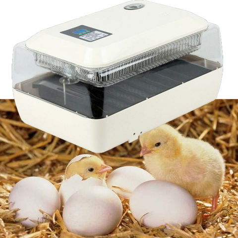 Machine d'élevage automatique 24 incubateur d'oeufs avec alarme de température d'affichage numérique pour la flambée d'oeufs de poulets cailles volaille ► Photo 1/6