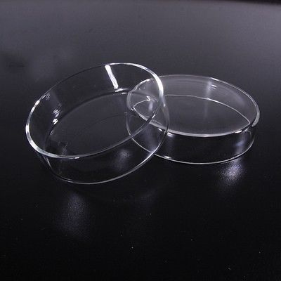 Plat de culture pétri en verre Borosilicate, 75mm, pour laboratoire de chimie, levure bactérienne ► Photo 1/4