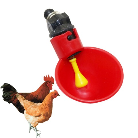 10 pcs Volaille Eau Potable Tasses Automatique Caille Poulet Potable En Plastique De Poulet Volaille Buveur Tasses matériel D'élevage De ► Photo 1/6