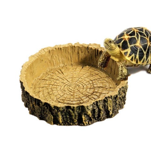 Bols pour animaux de compagnie, pour Gecko, lézard, alimentation, résine Reptile tortue plat d'eau, bol à nourriture, jouet amphibien, accessoires pour animaux de compagnie ► Photo 1/6