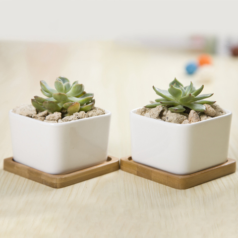 Jardinière succulente en céramique | Carré, blanc, Style Zakka, Pot de fleur de bureau, décoration de la maison, 2 Pots + 2 plateaux ► Photo 1/1