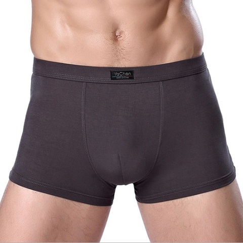 Marque Vêtements Hommes Sous-Vêtements Boxer fiber de bambou Casual Male Hommes de Courte Homme Slip Solide Couleur 1 pièce ► Photo 1/2