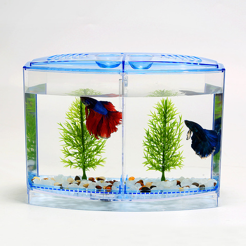 Mini bol à poissons, réservoir Betta d'aquarium en acrylique, incubateur pour Isolation des fritures, écloserie, enclos, poissons Guppy, Reptile, maison de tortues AT005 ► Photo 1/1