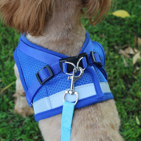 Gilet harnais laisse réglable maille gilet chien harnais collier poitrine sangle laisse harnais avec corde de Traction XS/S/M/L/XL ► Photo 1/6