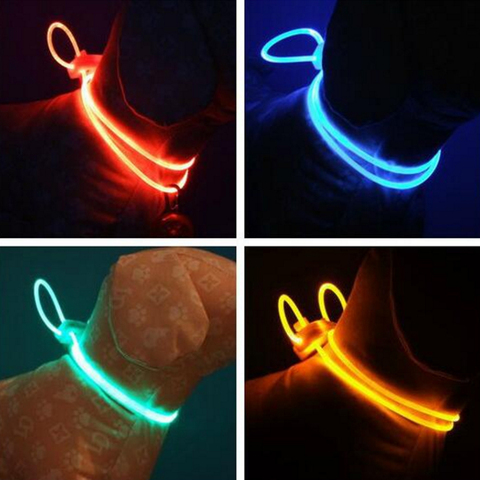 Qualité supérieure 1 pièces Multi-couleur led collier pour animal Réglable Sécurité Nuit collier pour animal voyant lumineux Up Pet Chien Lumineux Collier Laisse ► Photo 1/4