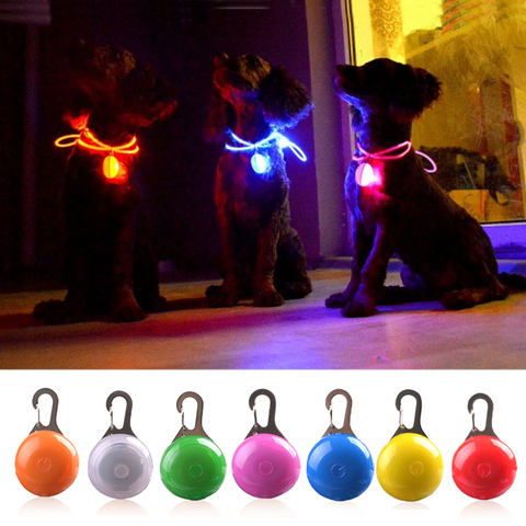 Collier lumineux à LED pour chien et chat, lampe de poche, pendentif de sécurité nocturne, collier en plomb pour animaux de compagnie, décoration lumineuse ► Photo 1/6