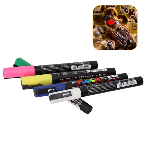 1Pc reine abeille marqueur plastique apiculture marque stylo 5 couleurs en option ne pas se faner abeille Identification équipement apiculture outils ► Photo 1/6