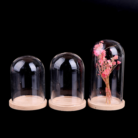 Vases de décoration en verre, présentoir de fleurs, Cloche, dôme, préservation immortelle + Base en bois, couvercle en verre de fleur éternelle ► Photo 1/6