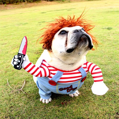 Déguisements d'halloween pour chien de compagnie, vêtements amusants pour Cosplay, ajustable, nouveauté pour chiots moyens et grands chiots et bouledogue ► Photo 1/6