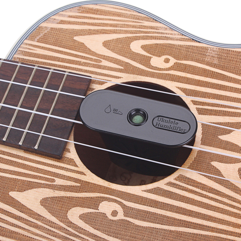 Ukelele Mini humidificateur ukulélé hiver dispositif de Protection Uke guitare Instrument de musique accessoires ► Photo 1/6