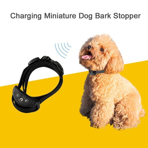 PaiPaitek – collier d'entraînement pour chien, Vibration Anti-aboiement, dispositif d'entraînement Rechargeable, fournitures pour animaux de compagnie ► Photo 1/6