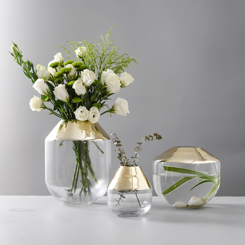 Vase en verre de style scandinave avec placage or, vases à fleurs hydroponiques transparents, bol de conception créative pot de fleurs Aquarium, décoration pour la maison ► Photo 1/6