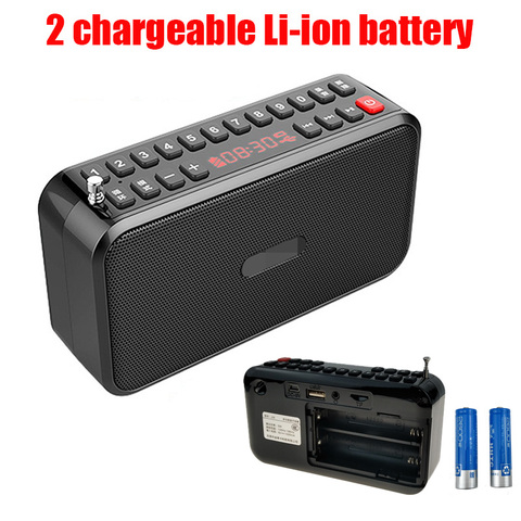 Mini haut-parleur Hi-Fi Bluetooth 5.0, Radio FM TF, lecteur USB, fonction d'appel mains libres, prend en charge des écouteurs 3.5mm et deux batteries 18650 ► Photo 1/6