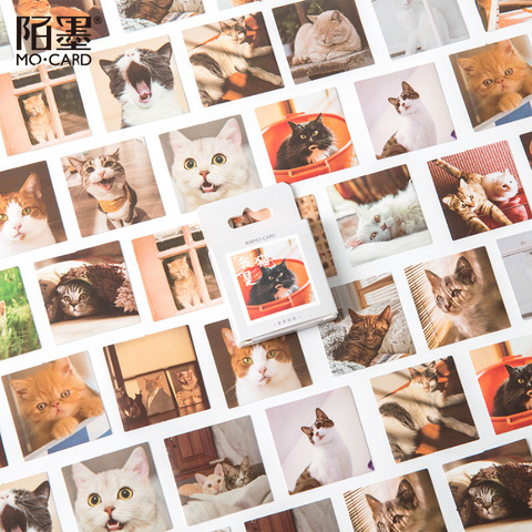 Stickers de Scrapbooking en dessin animé, papeterie décorative mignon I am a cat, étiquette autocollante pour Album journal intime, DIY bricolage, 46 pièces/boîte ► Photo 1/5