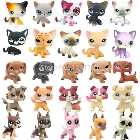 LPS chat Rare animalerie, jouets mignons debout, poils courts rouges, chien brun, teckel collie épagneul, grand danois, cadeau pour enfants ► Photo 1/6