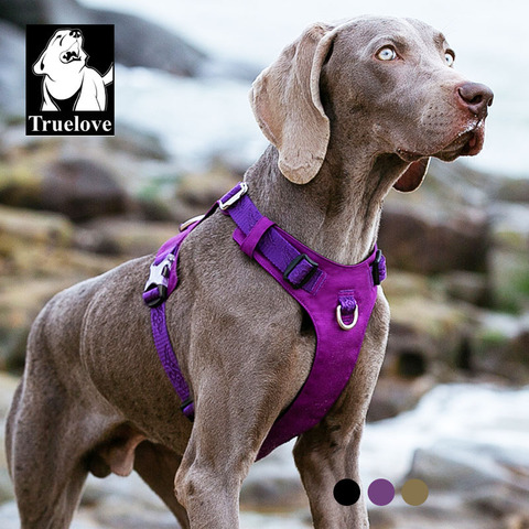 Truelove harnais étanche pour chien | Harnais en Nylon léger et Durable pour chien de compagnie, harnais réfléchissant et réglable pour petits chiens de grande taille ► Photo 1/6