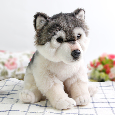 Jouet en peluche loup mignon 27cm, Animal doux, jouet réaliste Adorable, cadeau d'anniversaire pour enfants, accessoires Photo, livraison directe ► Photo 1/6