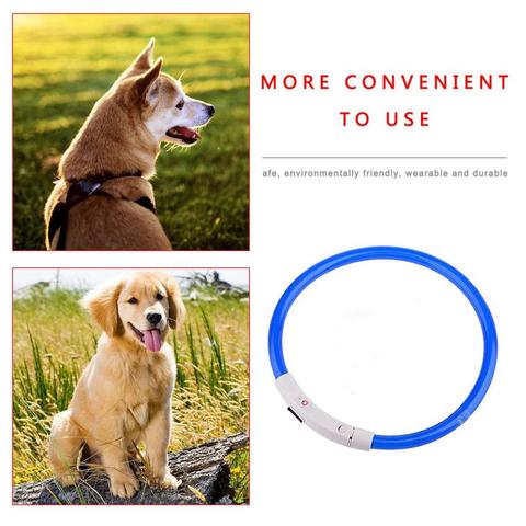 Collier de chien USB Rechargeable collier pour animaux de compagnie émettant de la lumière TPU peut couper la lumière de sécurité de chien adapté aux petits et moyens chiens ► Photo 1/6