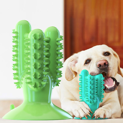 Brosse à dents anti-morsures pour chien, bâton de nettoyage des dents molaires, jouet à mâcher pour chien, chiot, soins dentaires, fournitures pour animaux de compagnie ► Photo 1/6