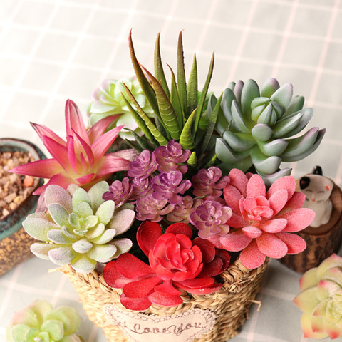 Mini plantes succulentes artificielles vertes, diverses plantes en plastique, décoration de jardin de maison, fausses plantes artificielles ► Photo 1/5