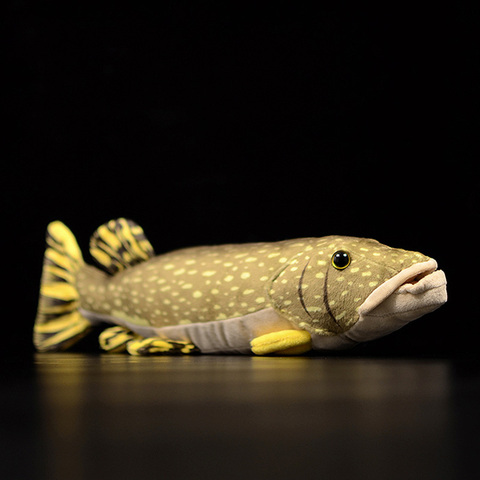 Chaud Original doux réaliste nord brochet poisson en peluche jouet Simulation mignon mer Animal poupée noël anniversaire cadeau pour les enfants ► Photo 1/6