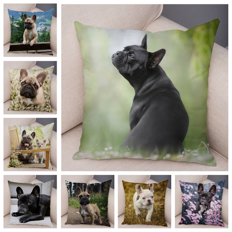 MINI bouledogue français taie d'oreiller, housse de coussin, pour canapé, voiture, Animal de compagnie, Animal de compagnie, décoration douce, taie d'oreiller imprimée x 45cm ► Photo 1/6