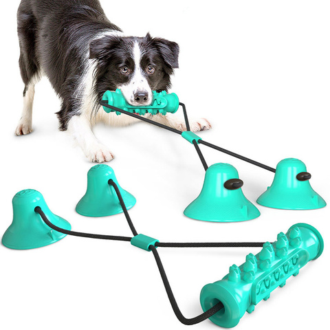 Jouets pour animaux de compagnie, Double ventouse, Tug, jouet à mâcher, boule à pousser, brosse à dents pour nettoyage des dents des animaux domestiques, brosse à dents pour grands chiots, jouet morsure molaire ► Photo 1/6