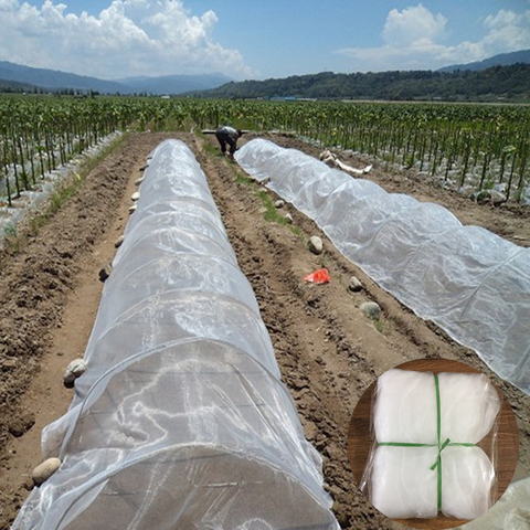 Filet antiparasitaire en Nylon PE, couverture de Protection anti-insectes pour plantes, légumes et fruits, largeur de 20 mailles 1m 2m 3m ► Photo 1/6