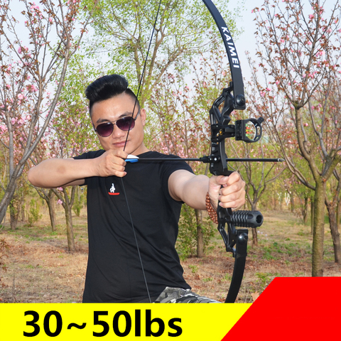 Arc à arc professionnel Recurve 30-50 lb, flèche puissante pour la chasse, tir de plein air, sports de plein air ► Photo 1/6