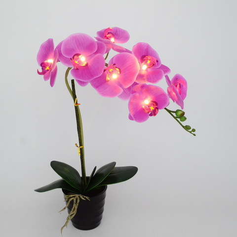 Lampe Pot d'orchidées à 7 led, 20 