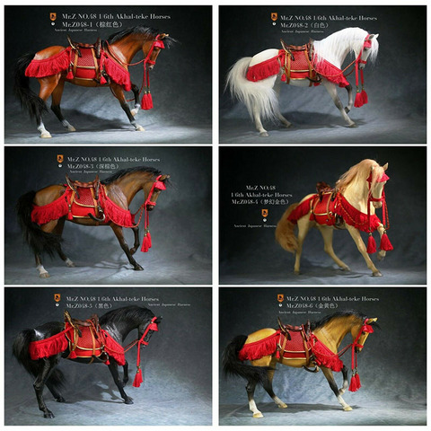 Mr.Z MRZ048 1/6 akhal-teke chevaux Figure modèle ancien Animal présentoir jouet en stock ► Photo 1/6