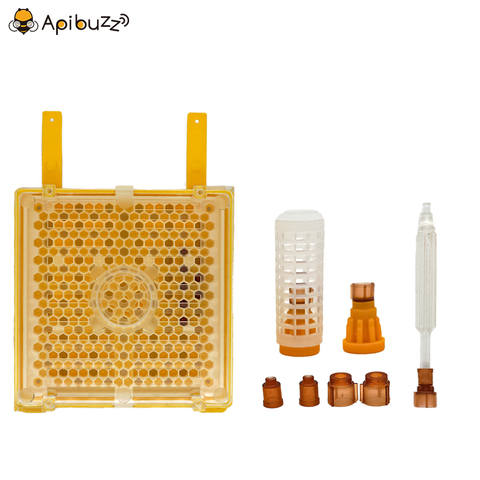 Jenter Queen – kit de démarrage pour l'élevage des abeilles, matériel pour apiculteur ► Photo 1/5