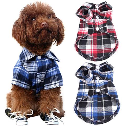 Été chien vêtements pour petits chiens mode coton chat chien T-shirt gilet chiot vêtements Chihuahua Yorkshire chemises animaux produit ► Photo 1/6