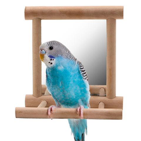 1PC Swing for Cockatiel Parrots Climb Wooden Birdcage Accessories House Decoration Parrot Brid Pet Toy with Mirror Bird Supplies ► Photo 1/5